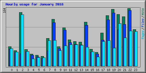 Hourly usage for January 2016